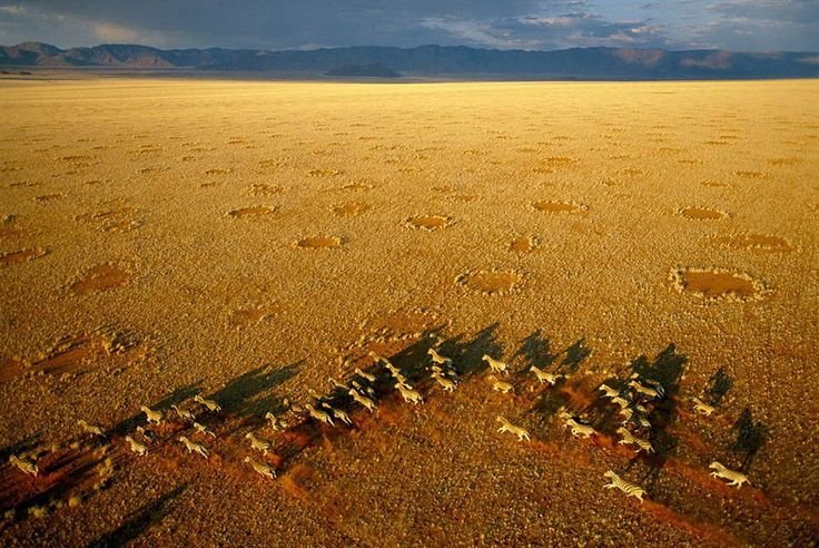 The Fairy Circle Of Namibia